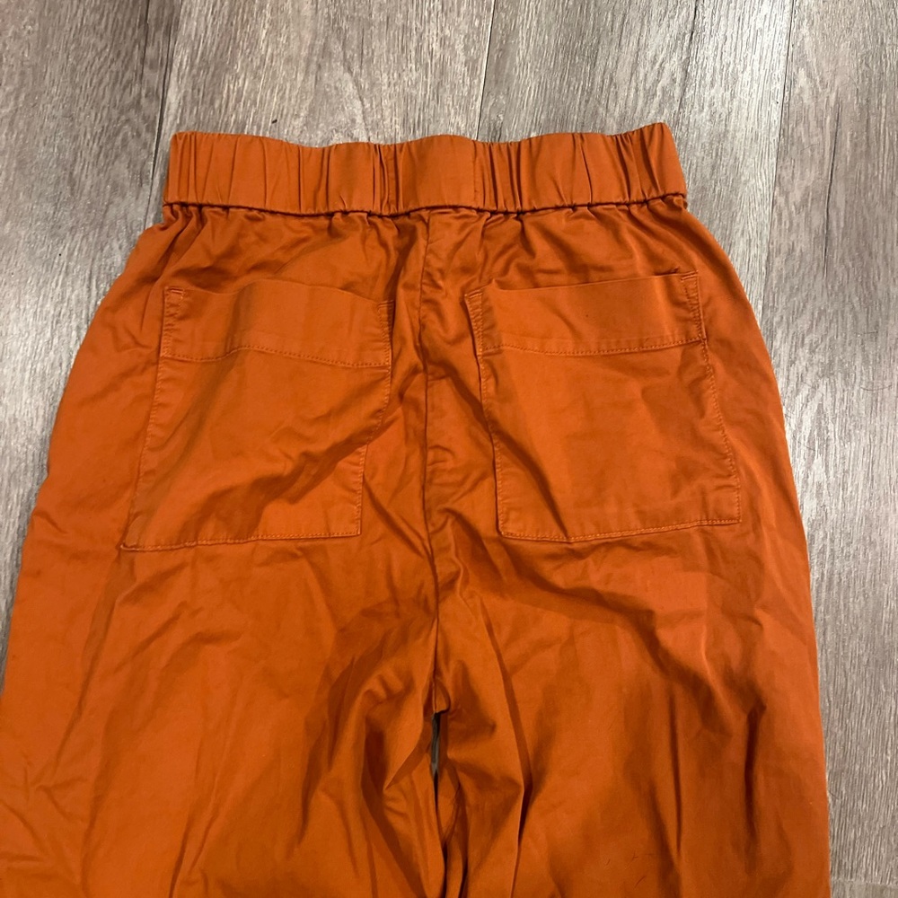 Everlane Wide Leg Elastic Waist Pants in Rust - Picture 5 of 6
